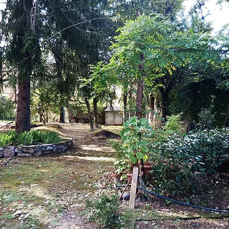 Magia Di Mare 斯培西亚